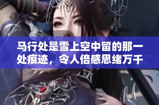 马行处是雪上空中留的那一处痕迹，令人倍感思绪万千