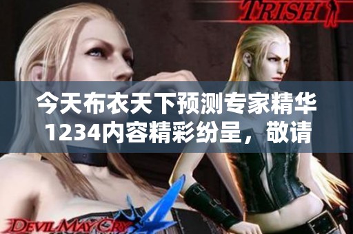 今天布衣天下预测专家精华1234内容精彩纷呈，敬请关注各位的精彩分析与见解。