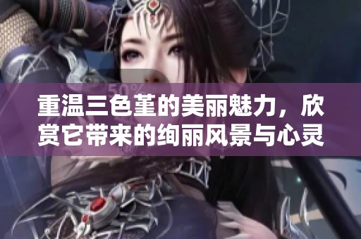 重温三色堇的美丽魅力，欣赏它带来的绚丽风景与心灵触动