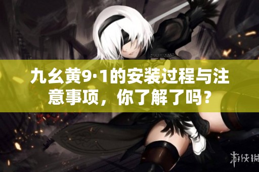 九幺黄9·1的安装过程与注意事项，你了解了吗？