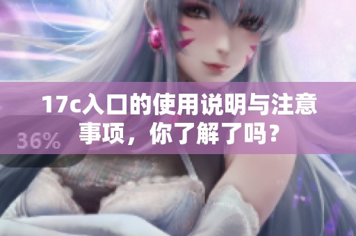 17c入口的使用说明与注意事项，你了解了吗？