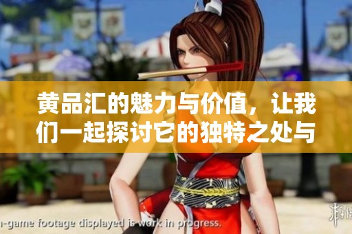 黄品汇的魅力与价值，让我们一起探讨它的独特之处与未来发展路径
