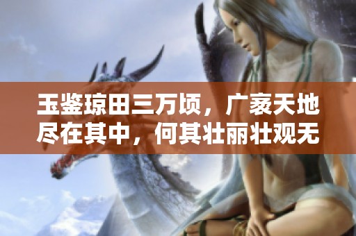玉鉴琼田三万顷，广袤天地尽在其中，何其壮丽壮观无比