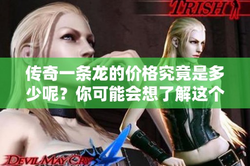 传奇一条龙的价格究竟是多少呢？你可能会想了解这个信息。