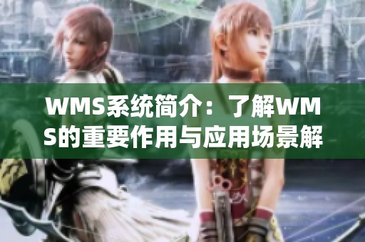 WMS系统简介：了解WMS的重要作用与应用场景解析
