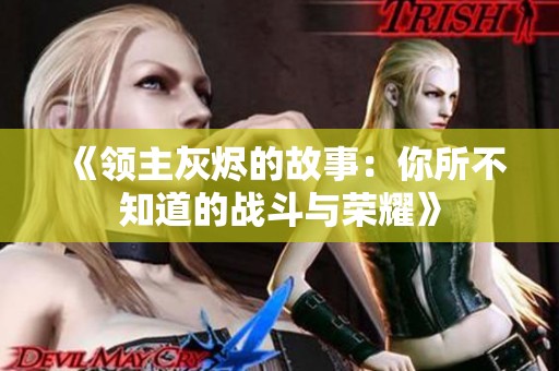 《领主灰烬的故事：你所不知道的战斗与荣耀》