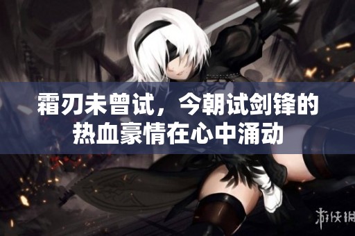 霜刃未曾试，今朝试剑锋的热血豪情在心中涌动