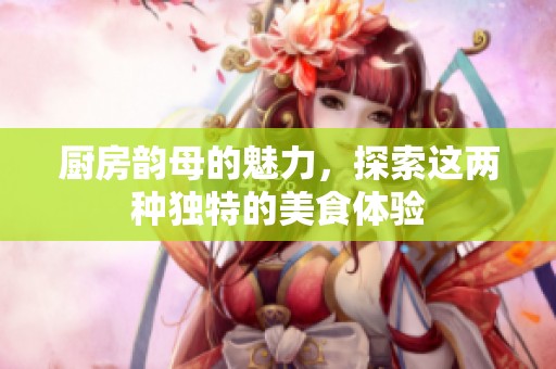 厨房韵母的魅力，探索这两种独特的美食体验