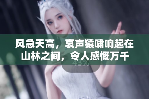 风急天高，哀声猿啸响起在山林之间，令人感慨万千