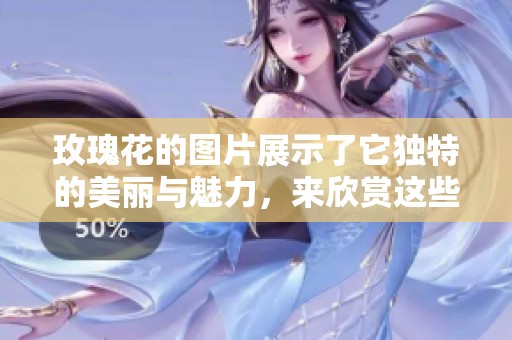 玫瑰花的图片展示了它独特的美丽与魅力，来欣赏这些动人的花卉吧。