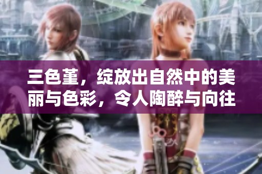 三色堇，绽放出自然中的美丽与色彩，令人陶醉与向往。