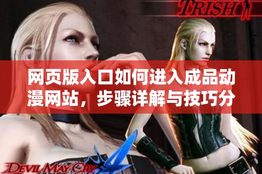 网页版入口如何进入成品动漫网站，步骤详解与技巧分享