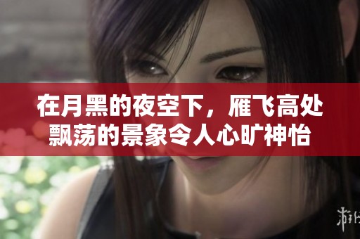 在月黑的夜空下，雁飞高处飘荡的景象令人心旷神怡