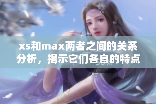 xs和max两者之间的关系分析，揭示它们各自的特点与优势