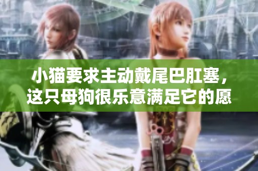 小猫要求主动戴尾巴肛塞，这只母狗很乐意满足它的愿望