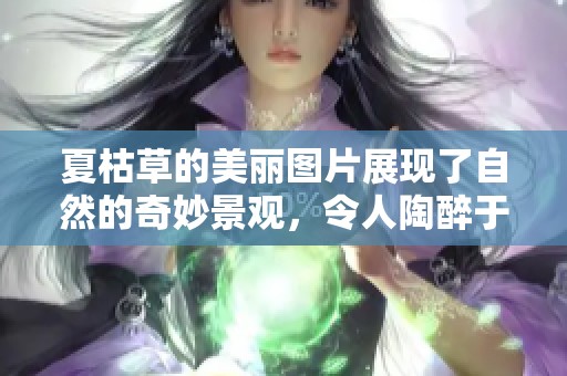 夏枯草的美丽图片展现了自然的奇妙景观，令人陶醉于其独特魅力。