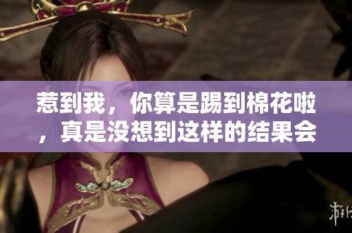 惹到我，你算是踢到棉花啦，真是没想到这样的结果会发生