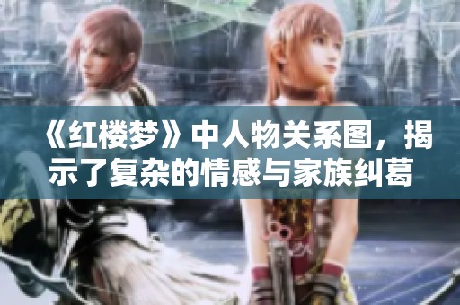 《红楼梦》中人物关系图，揭示了复杂的情感与家族纠葛关系