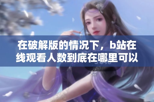 在破解版的情况下，b站在线观看人数到底在哪里可以找到免费资源呢