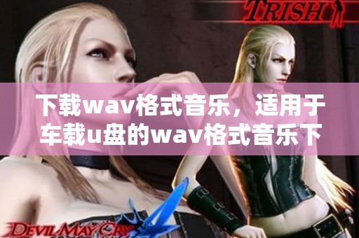 下载w**格式音乐，适用于车载u盘的w**格式音乐下载服务