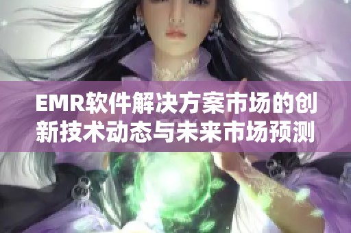 EMR软件解决方案市场的创新技术动态与未来市场预测分析