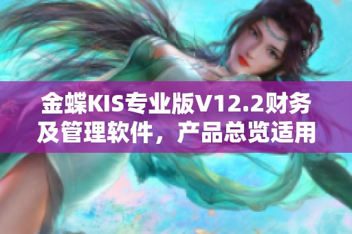 金蝶KIS专业版V12.2财务及管理软件，产品总览适用于三用户