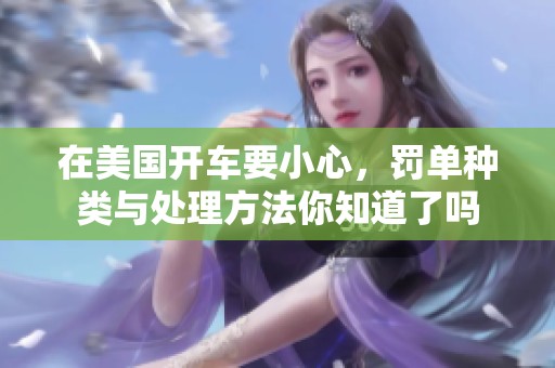 在美国开车要小心，罚单种类与处理方法你知道了吗