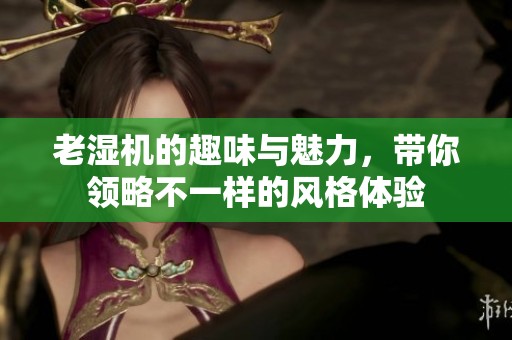 老湿机的趣味与魅力，带你领略不一样的风格体验