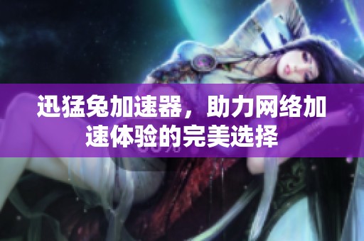 迅猛兔加速器，助力网络加速体验的完美选择