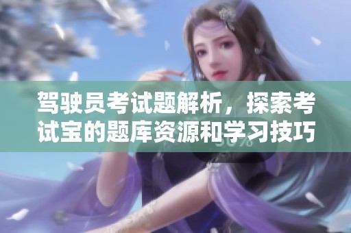 驾驶员考试题解析，探索考试宝的题库资源和学习技巧