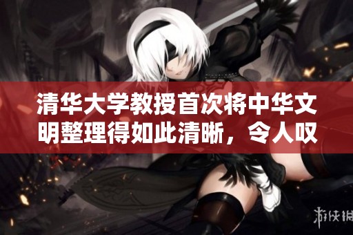 清华大学教授首次将中华文明整理得如此清晰，令人叹为观止的成果展现了什么