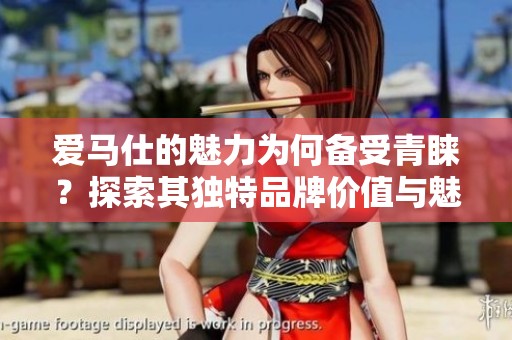 爱马仕的魅力为何备受青睐？探索其独特品牌价值与魅力所在