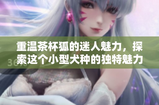 重温茶杯狐的迷人魅力，探索这个小型犬种的独特魅力所在