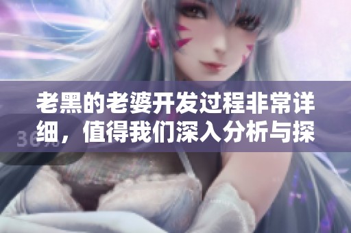 老黑的老婆开发过程非常详细，值得我们深入分析与探讨。