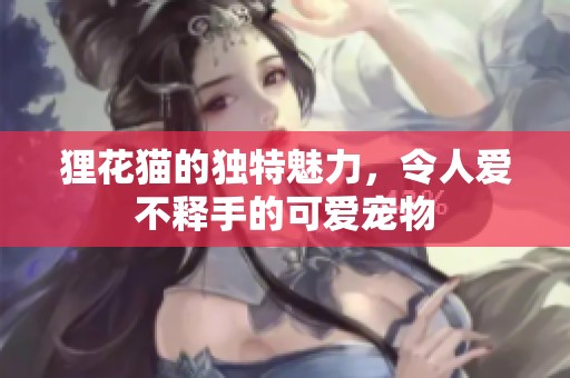 狸花猫的独特魅力，令人爱不释手的可爱宠物