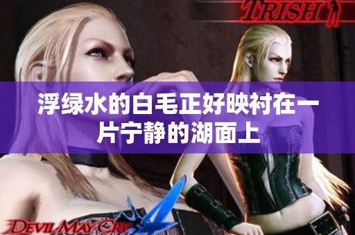 浮绿水的白毛正好映衬在一片宁静的湖面上