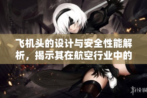 飞机头的设计与安全性能解析，揭示其在航空行业中的重要性