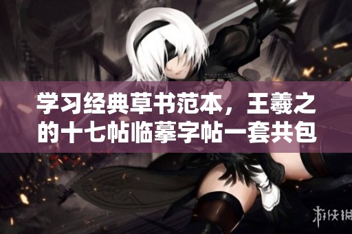 学习经典草书范本，王羲之的十七帖临摹字帖一套共包含2册内容丰富