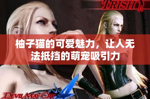 柚子猫的可爱魅力，让人无法抵挡的萌宠吸引力