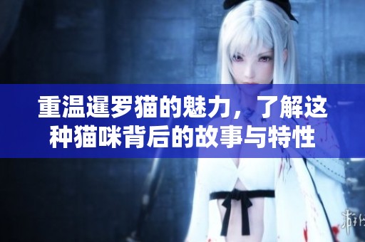 重温暹罗猫的魅力，了解这种猫咪背后的故事与特性