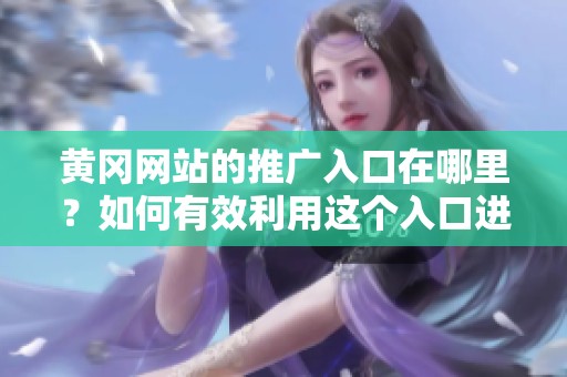 黄冈网站的推广入口在哪里？如何有效利用这个入口进行网站推广？