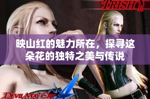 映山红的魅力所在，探寻这朵花的独特之美与传说