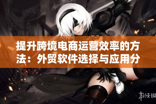 提升跨境电商运营效率的方法：外贸软件选择与应用分析——湖畔网络探讨