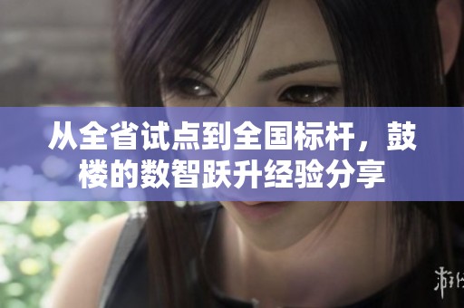 从全省试点到全国标杆，鼓楼的数智跃升经验分享