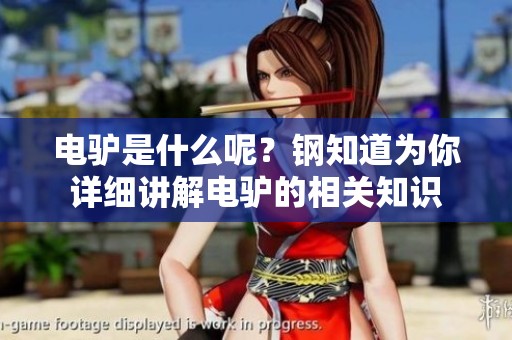 电驴是什么呢？钢知道为你详细讲解电驴的相关知识