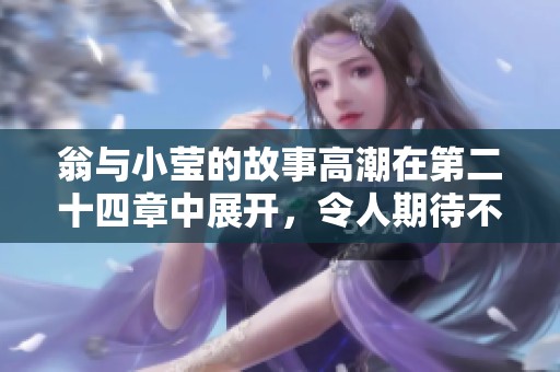 翁与小莹的故事高潮在第二十四章中展开，令人期待不已的情节令人陶醉