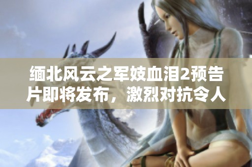 缅北风云之军妓血泪2预告片即将发布，激烈对抗令人期待