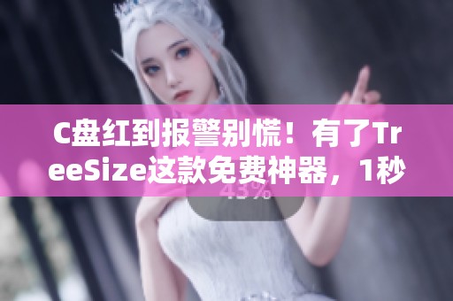 C盘红到报警别慌！有了TreeSize这款免费神器，1秒就能揪出问题磁盘所在