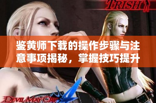 鉴黄师下载的操作步骤与注意事项揭秘，掌握技巧提升工作效率