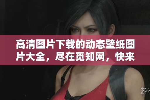 高清图片下载的动态壁纸图片大全，尽在觅知网，快来探索吧